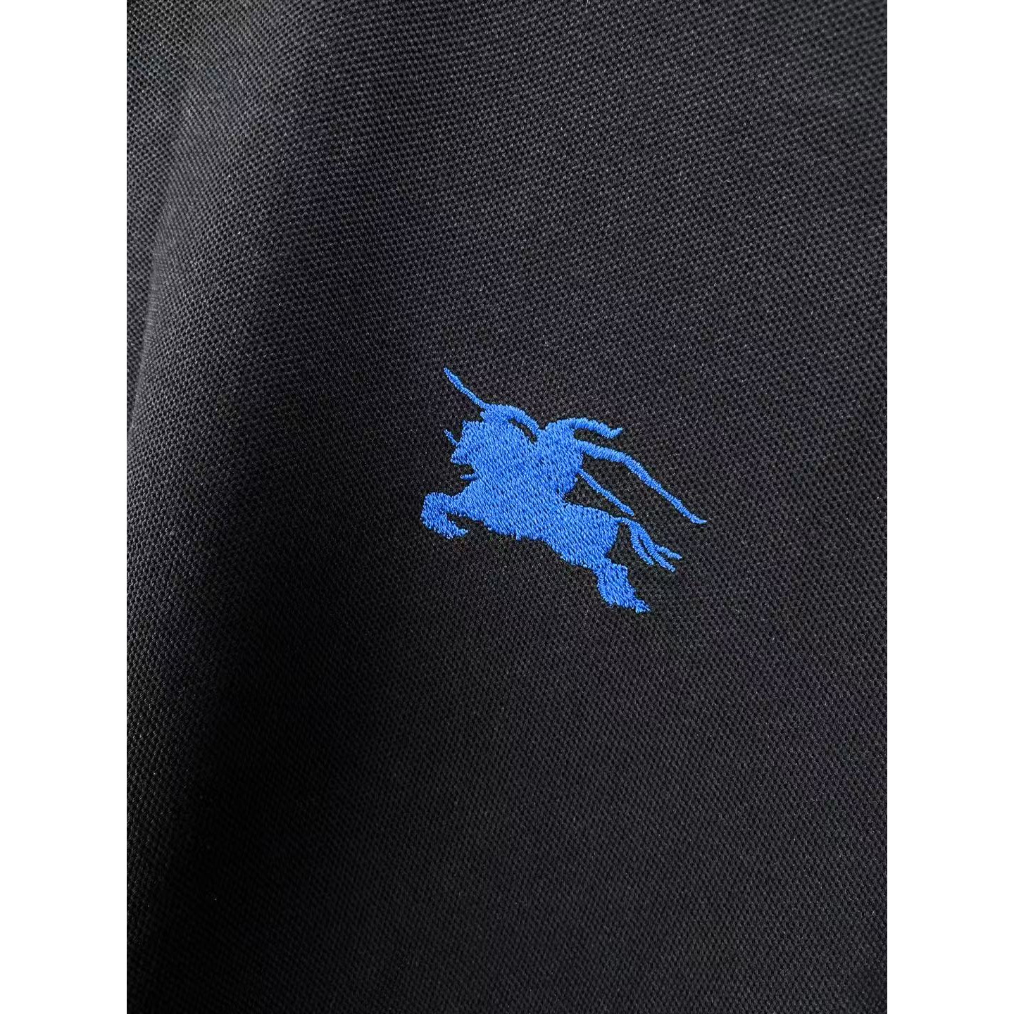 <p>BURBERRY 长袖Polo衫(黑)</p>