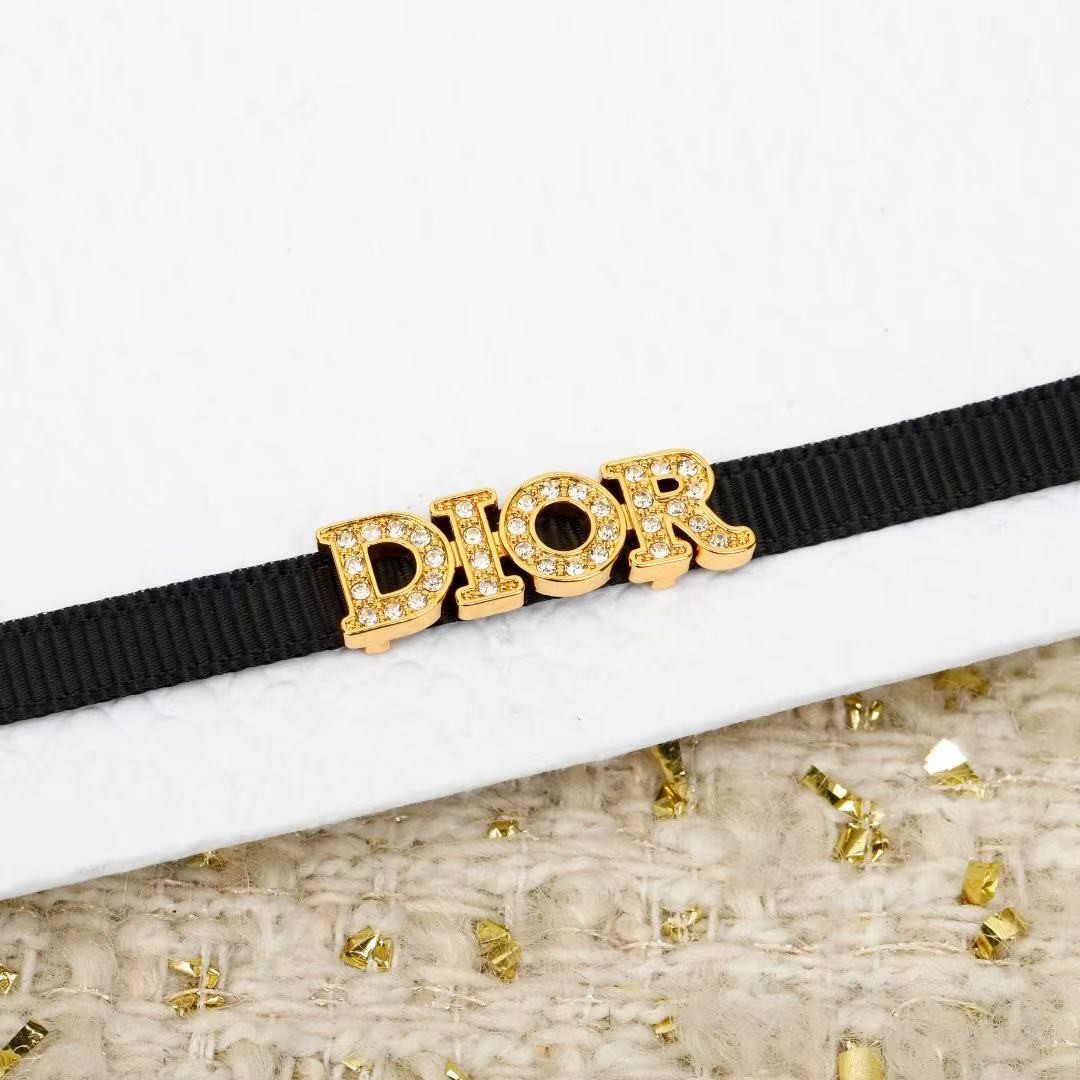 <p>DIOR 字母织带choker项链</p>