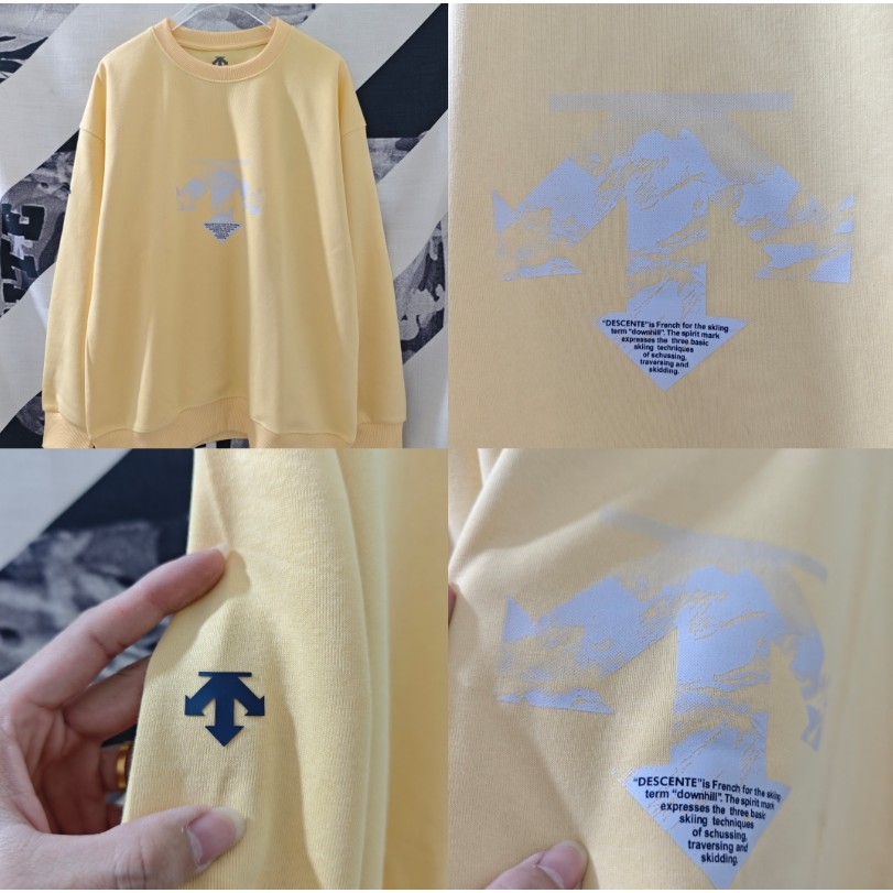 <p>DESCENTE 經典款棉 T (多色可選)</p>