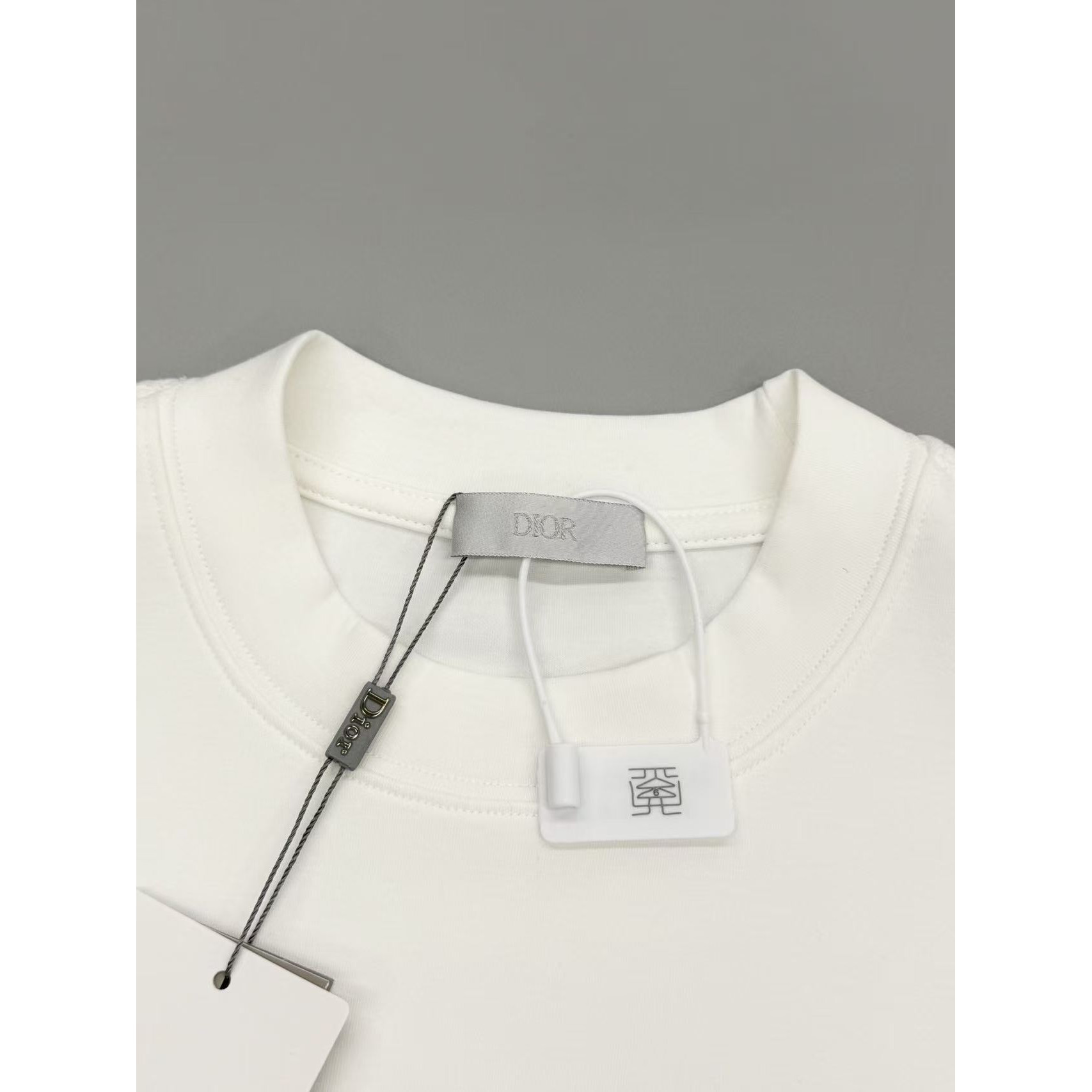 <p>DIOR&nbsp;刺绣短袖T恤(白)</p>