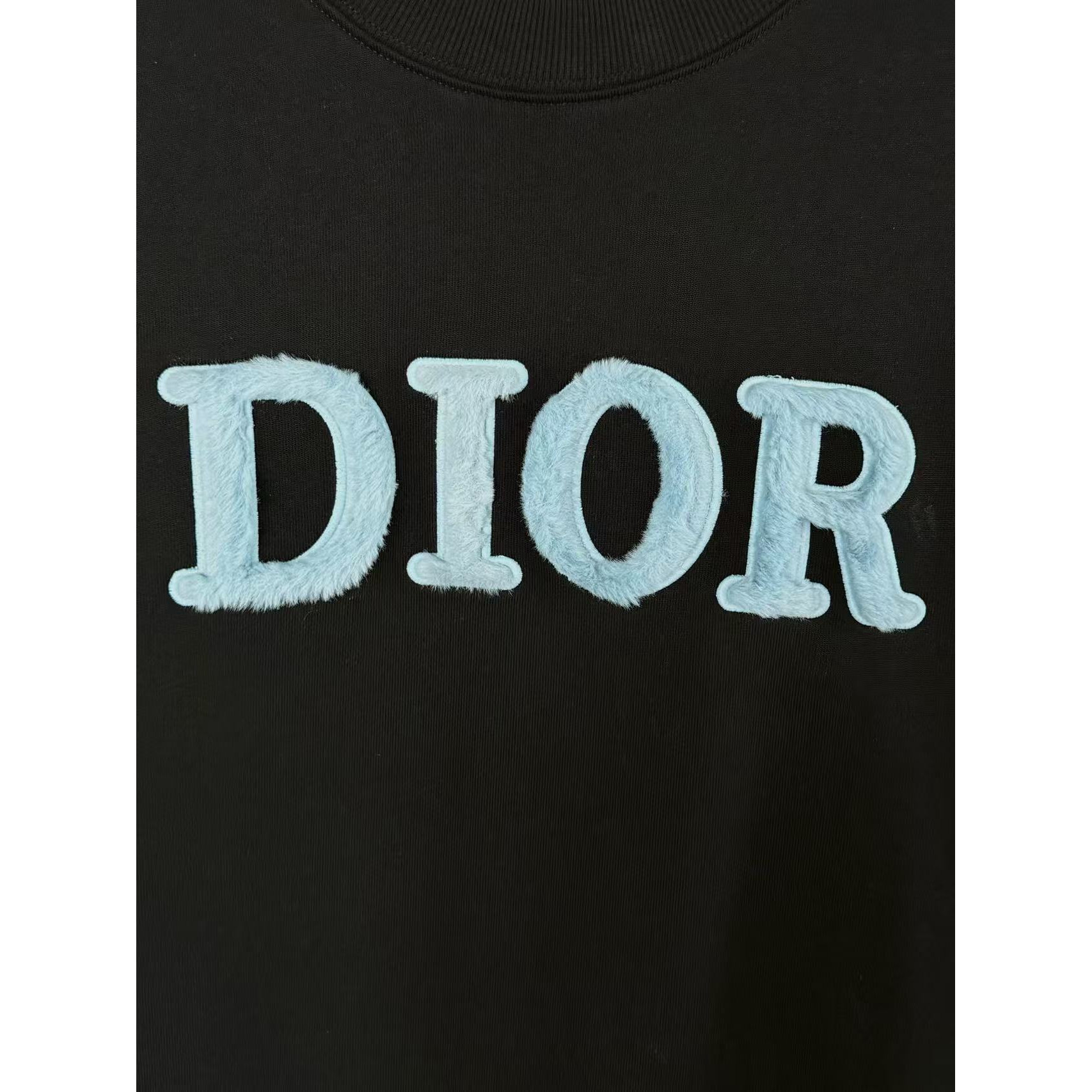 <p>DIOR 刺绣圆领卫衣(黑)</p>