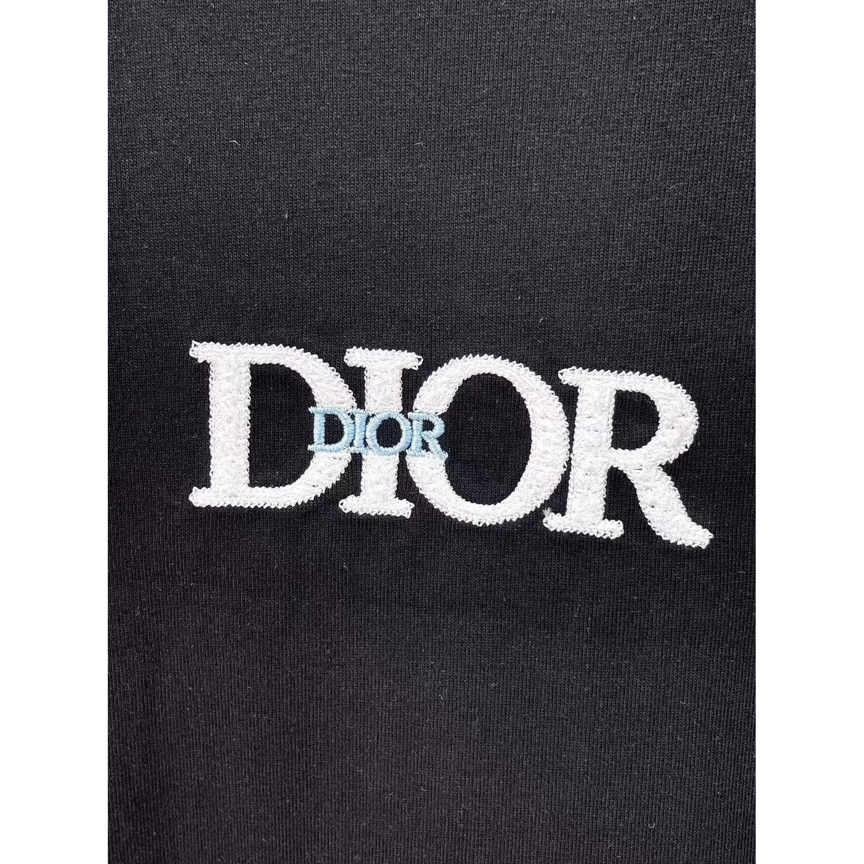<p>DIOR&nbsp;专柜新款短袖T恤(黑)</p>