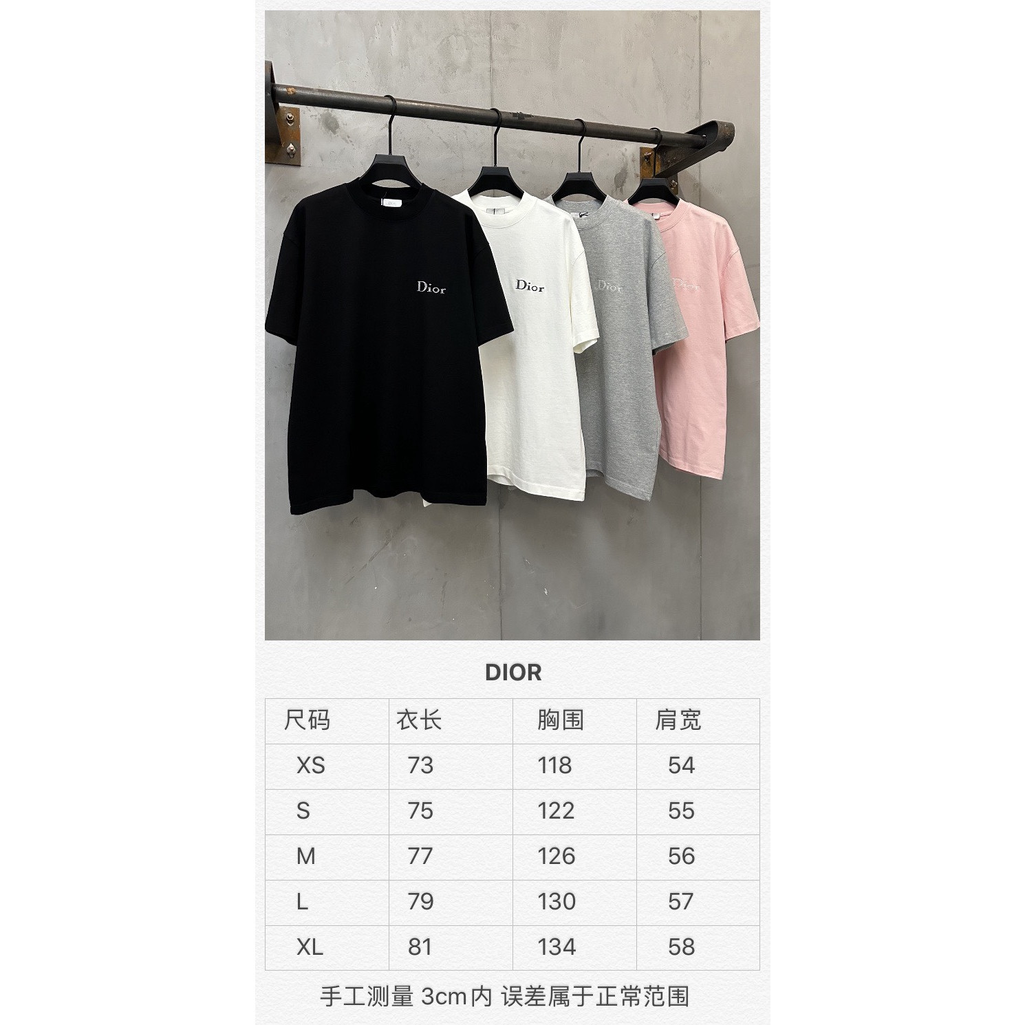 <p>Dior logo刺绣短袖T恤(白)</p>