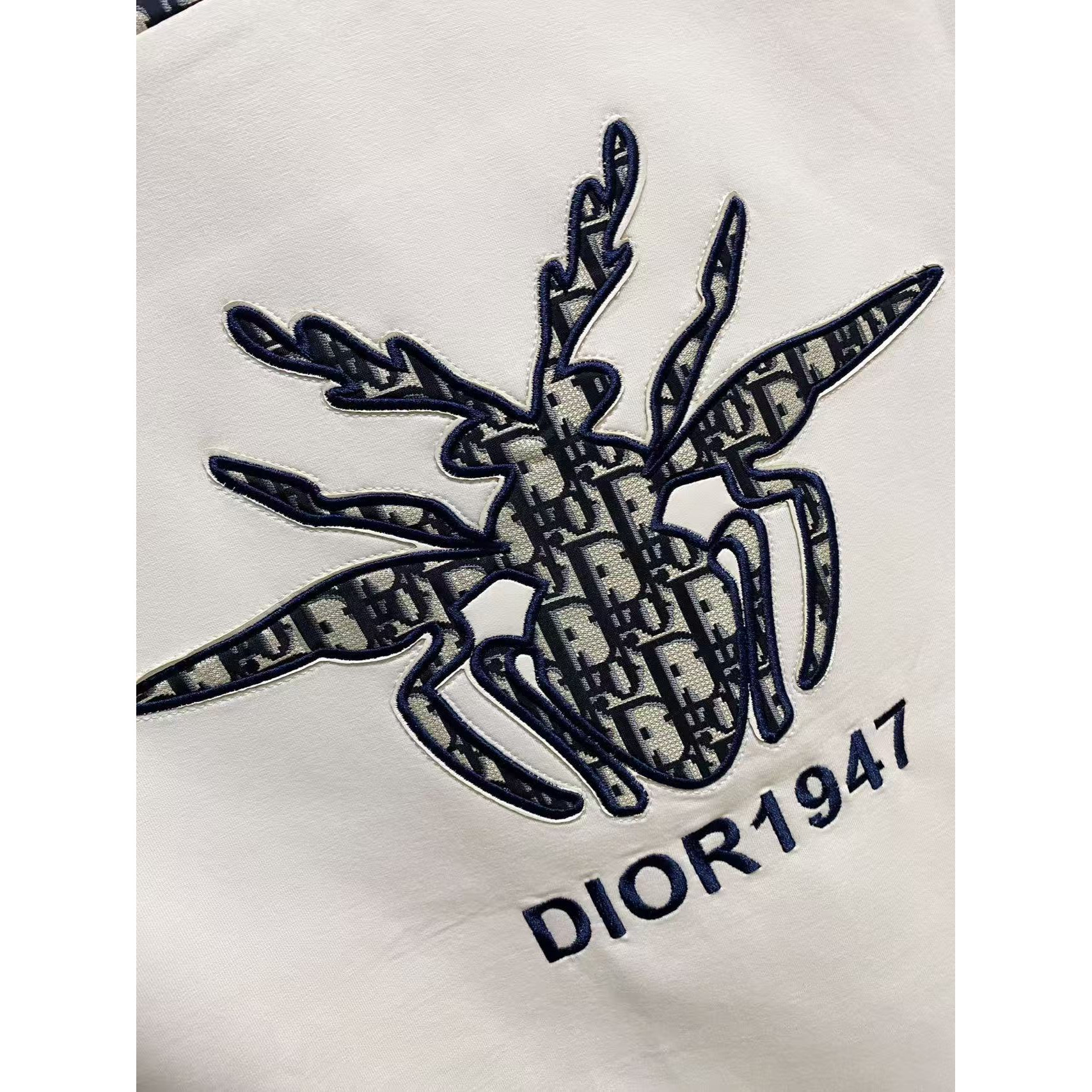 <p>DIOR 太空棉卫衣(白)</p>