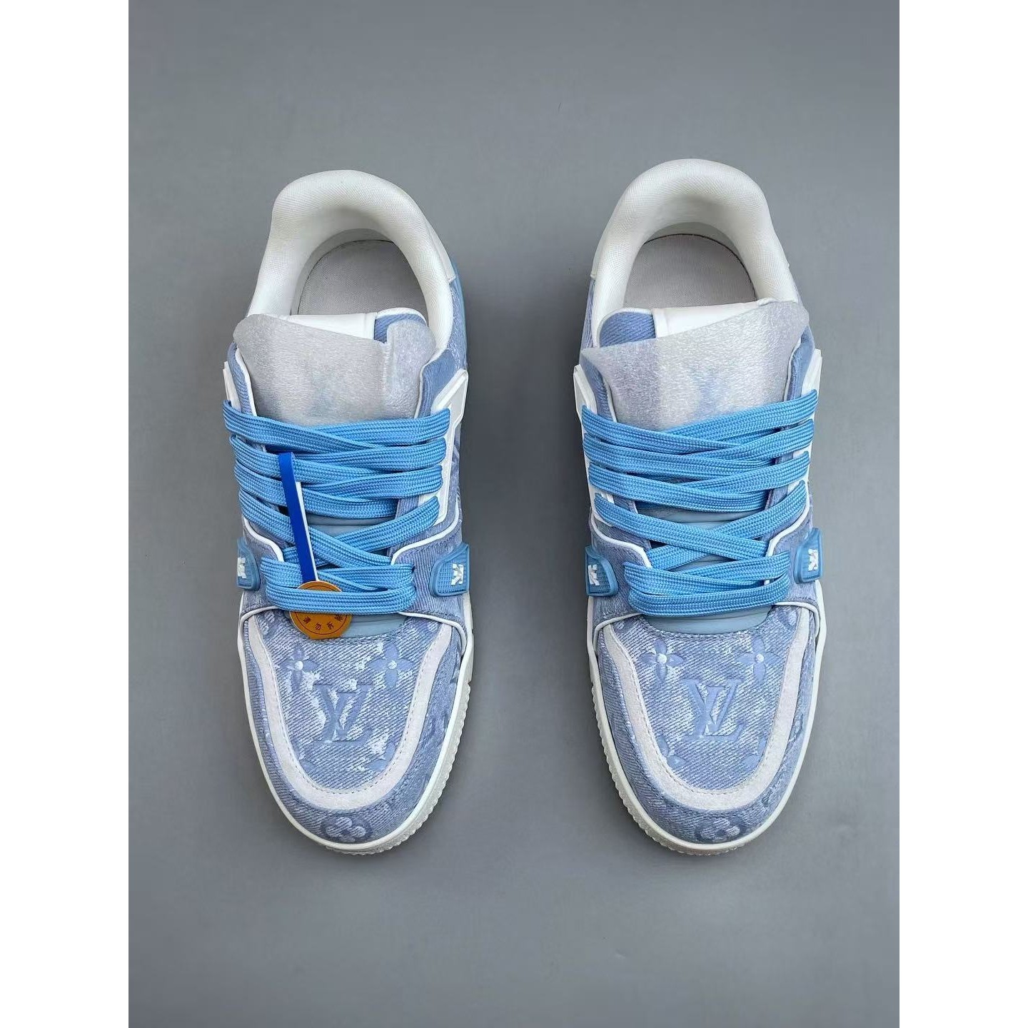 <p>LV trainer(藍)</p>