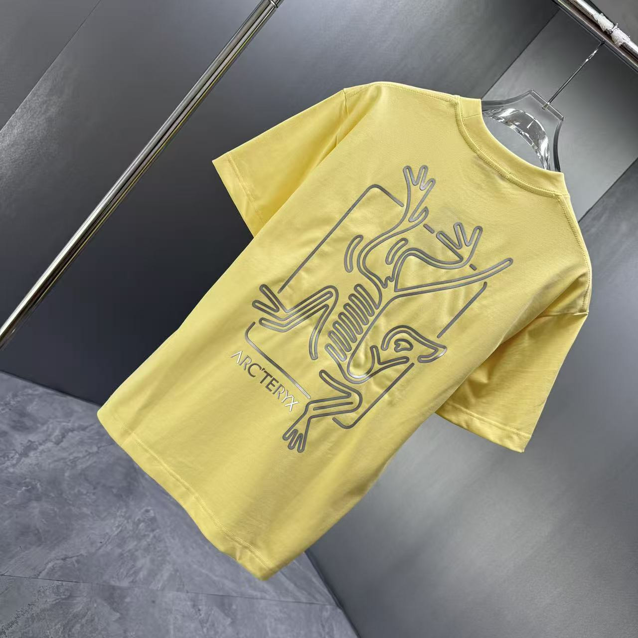 <p>Arc'teryx 短袖T恤(黃)</p>