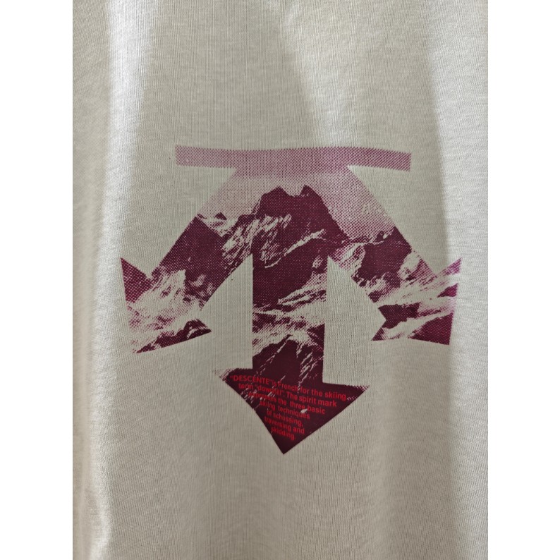 <p>DESCENTE 經典款棉 T (多色可選)</p>