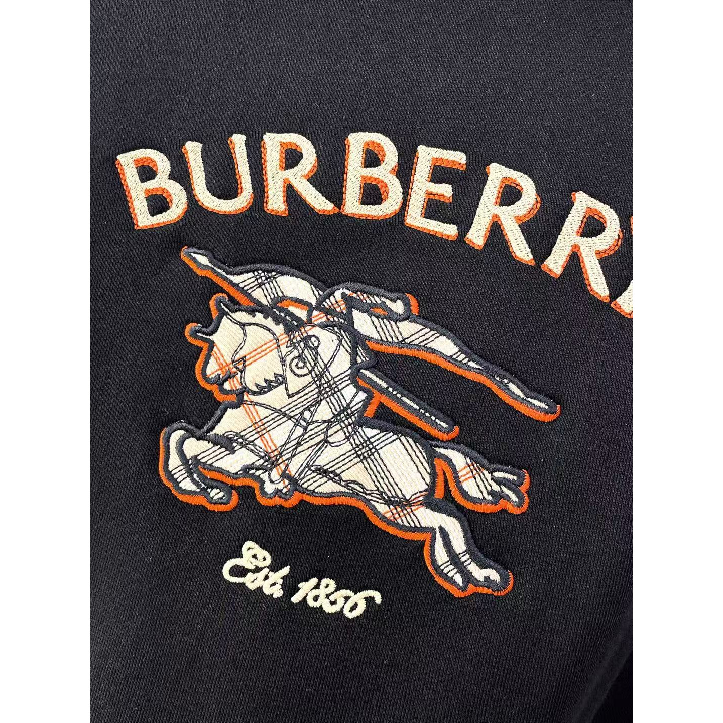 <p>BURBERRY 卫衣外套(黑)</p>