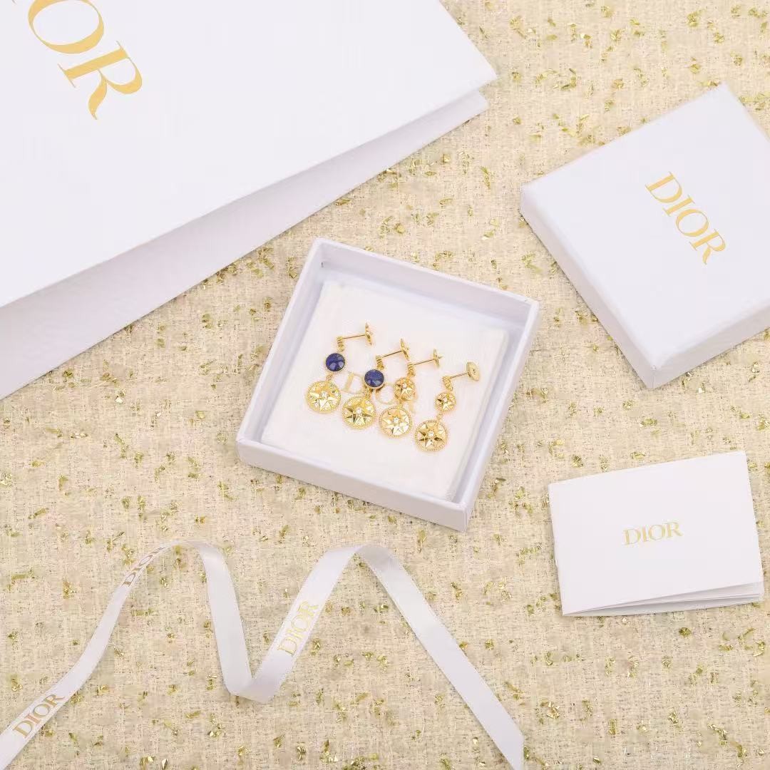 <p>DIOR&nbsp;罗盘耳环</p>