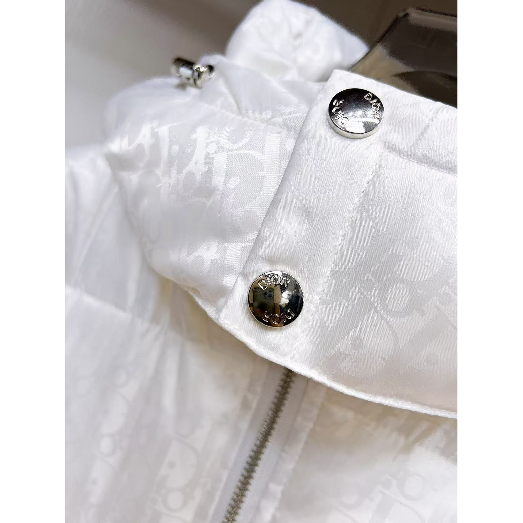<p>DIOR&nbsp;秋冬新款羽绒服(白)</p>