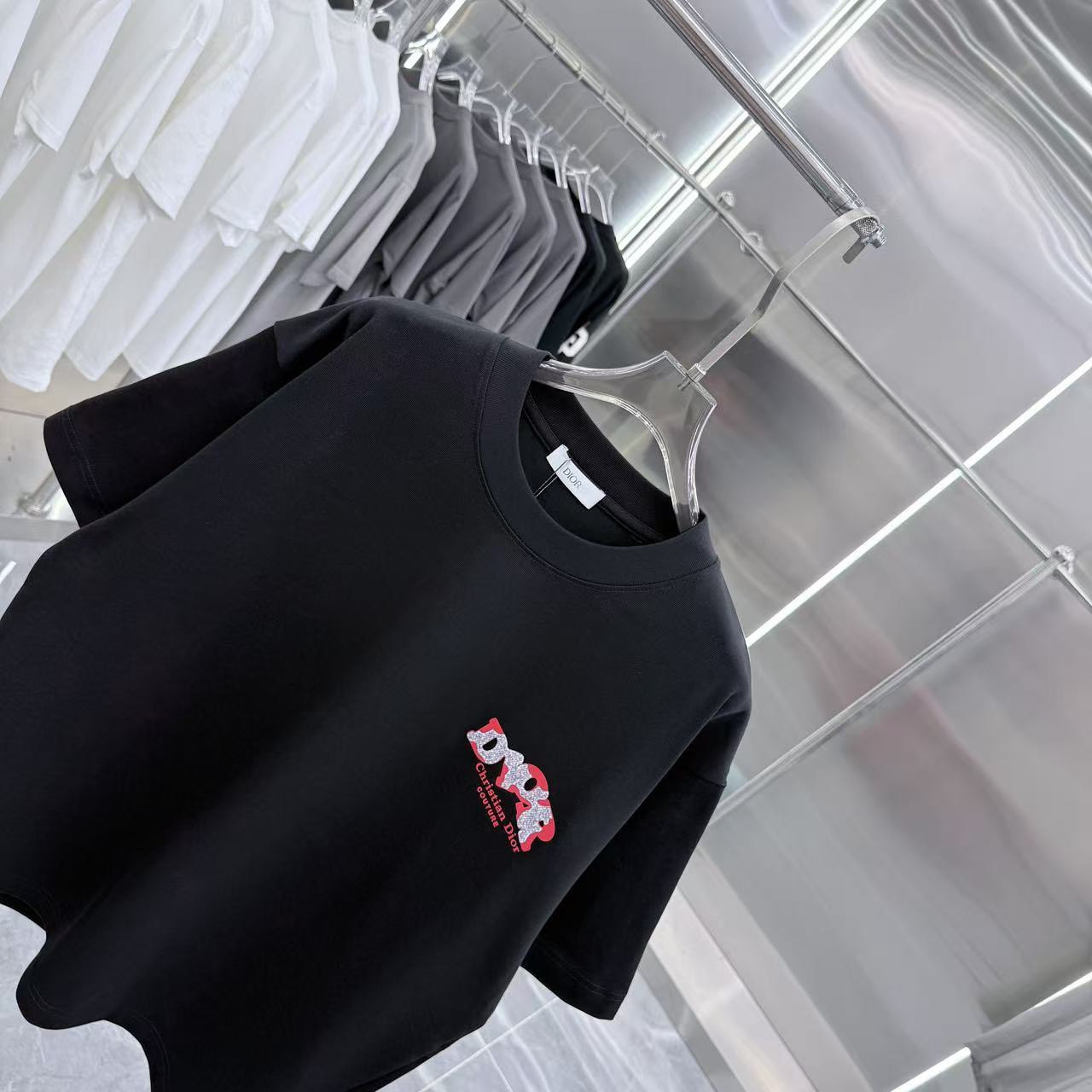 <p>DIOR 圓領T恤</p>