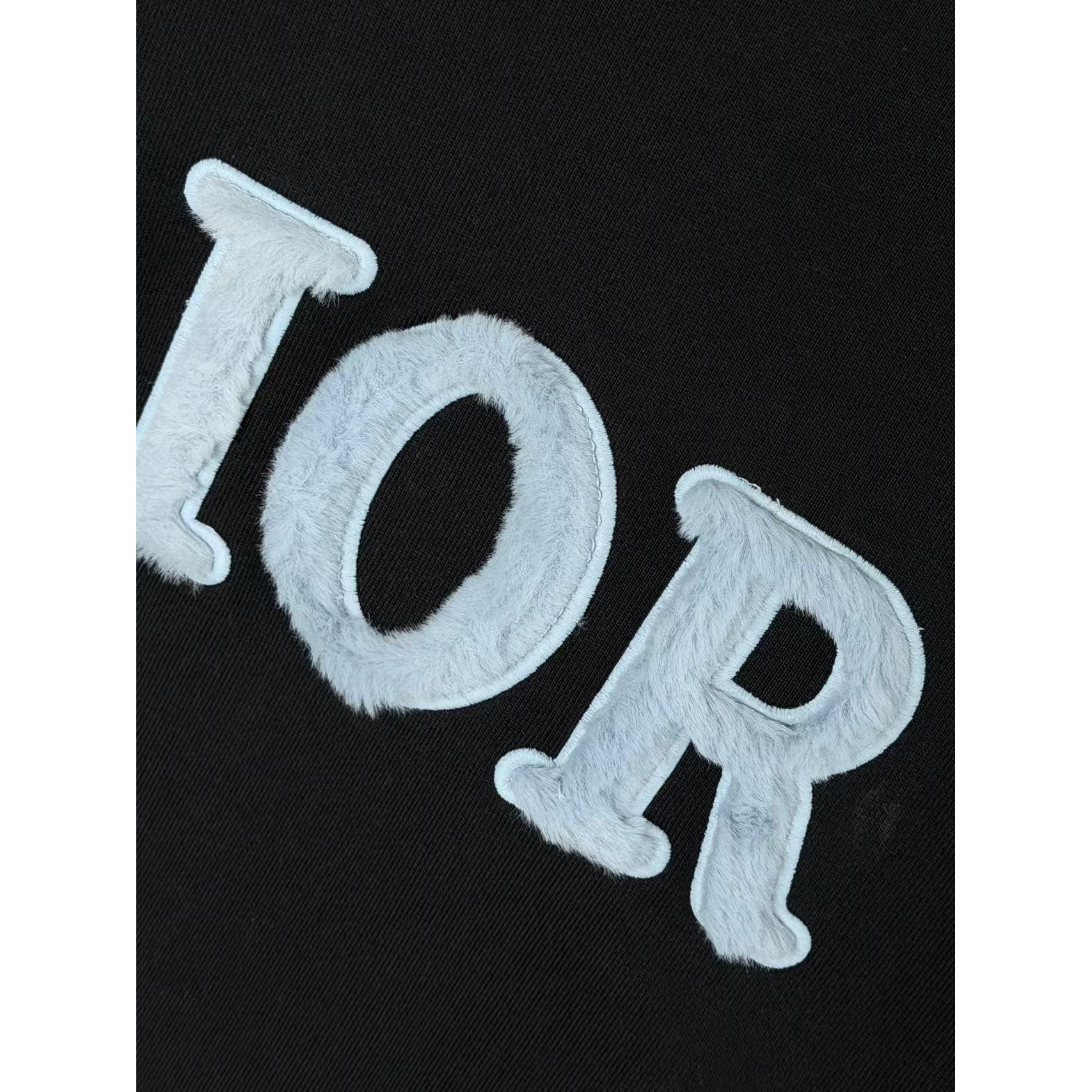 <p>DIOR 刺绣圆领卫衣(黑)</p>