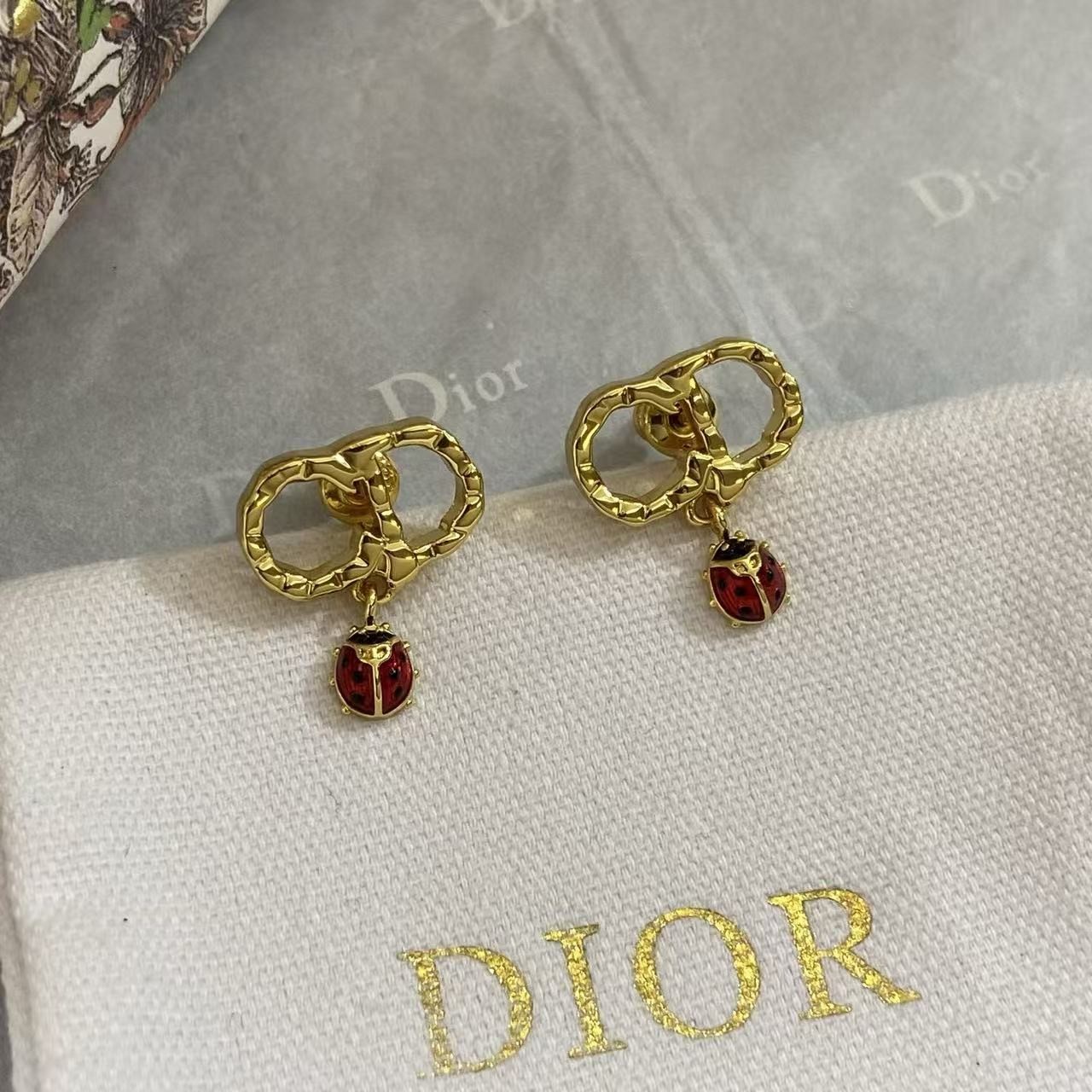 <p>DIOR 七夕限定瓢虫CD耳钉</p>
