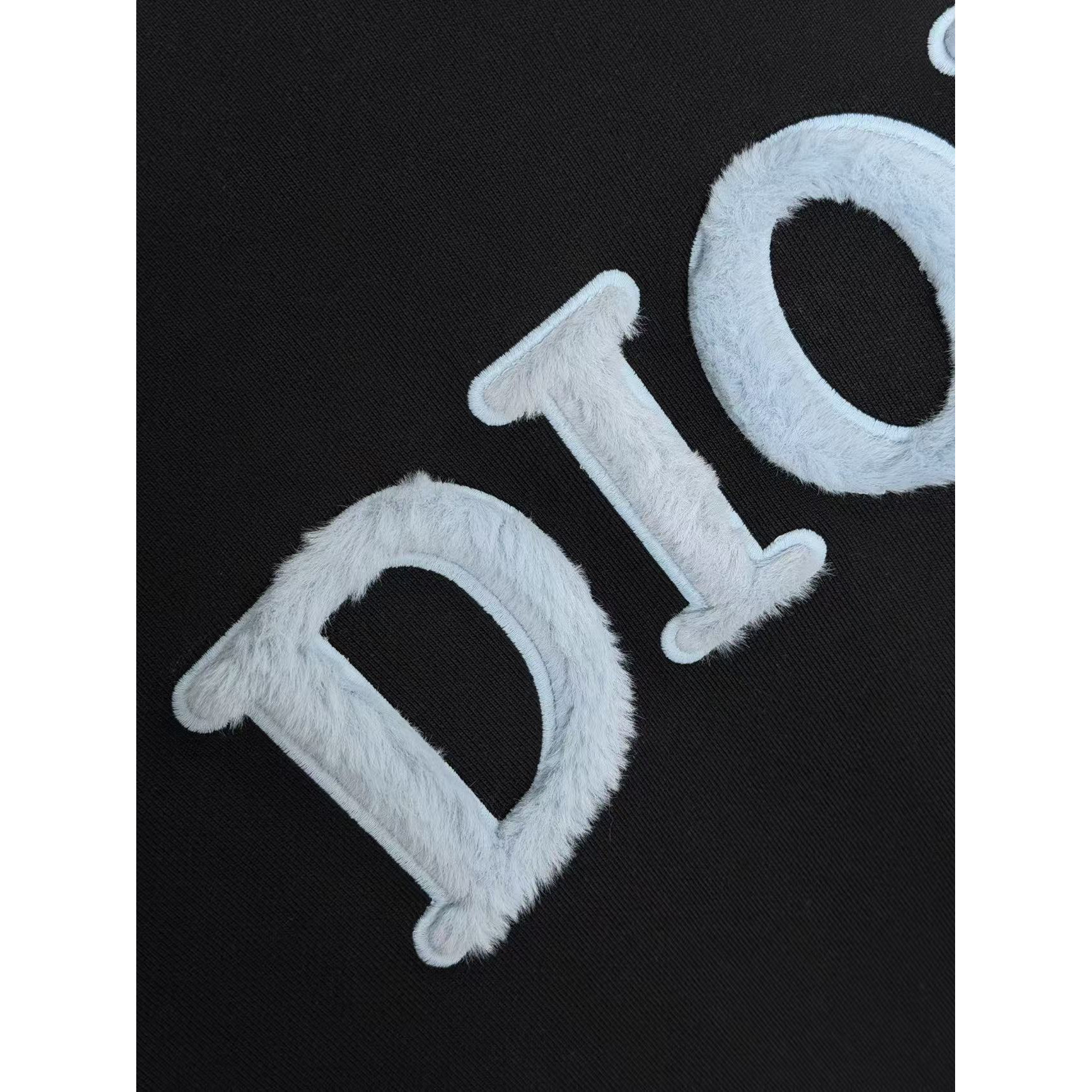 <p>DIOR 刺绣圆领卫衣(黑)</p>