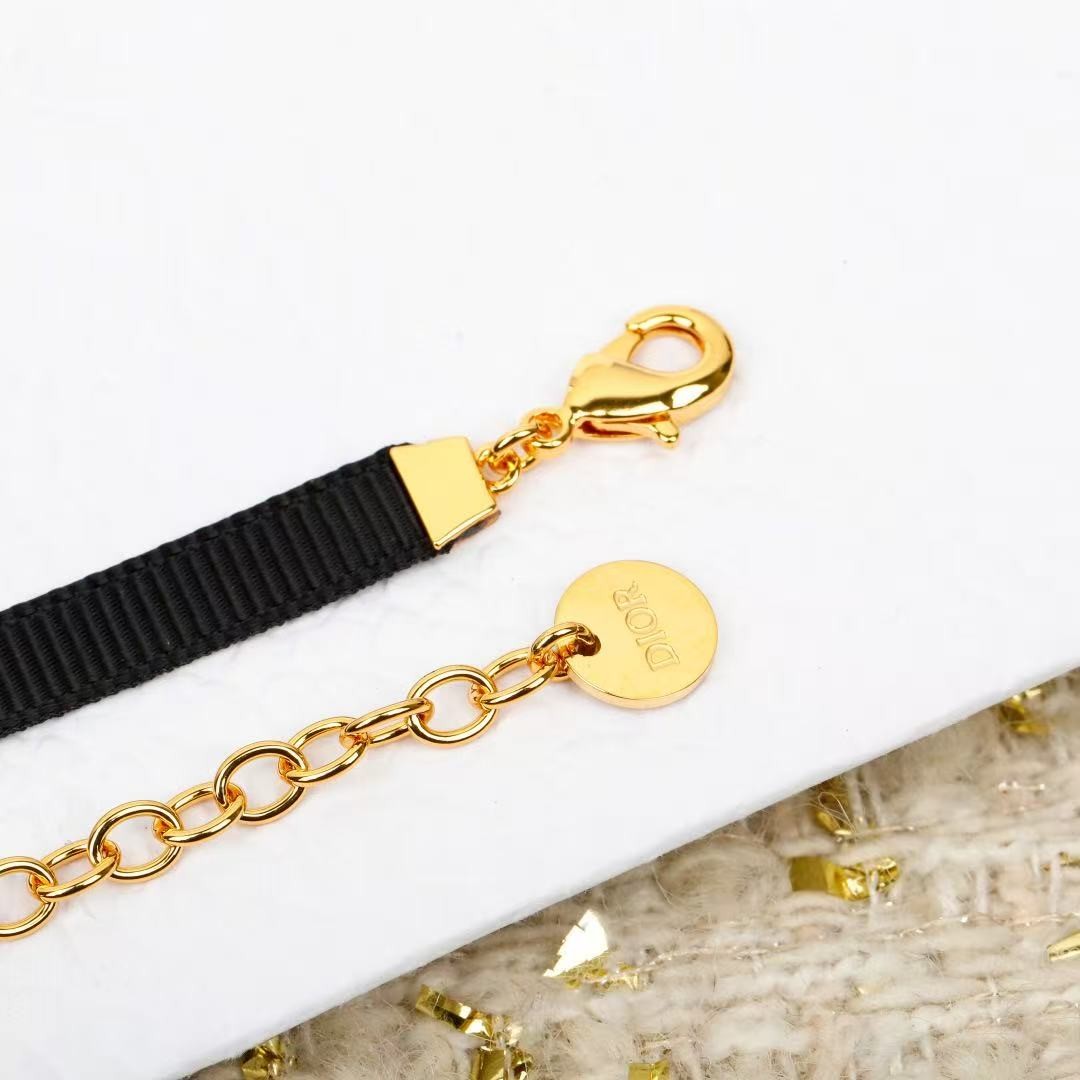 <p>DIOR 字母织带choker项链</p>