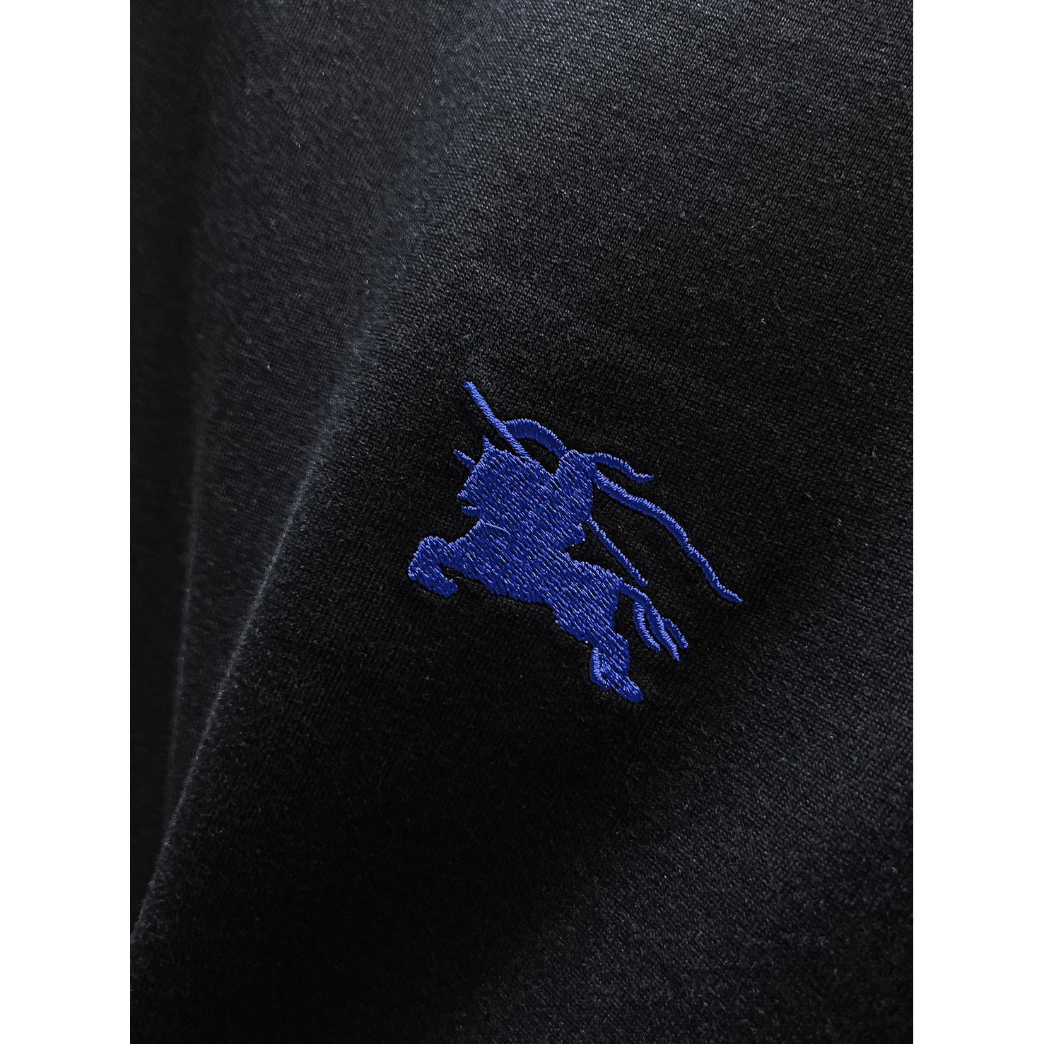 <p>BURBERRY 长袖T恤(黑)</p>