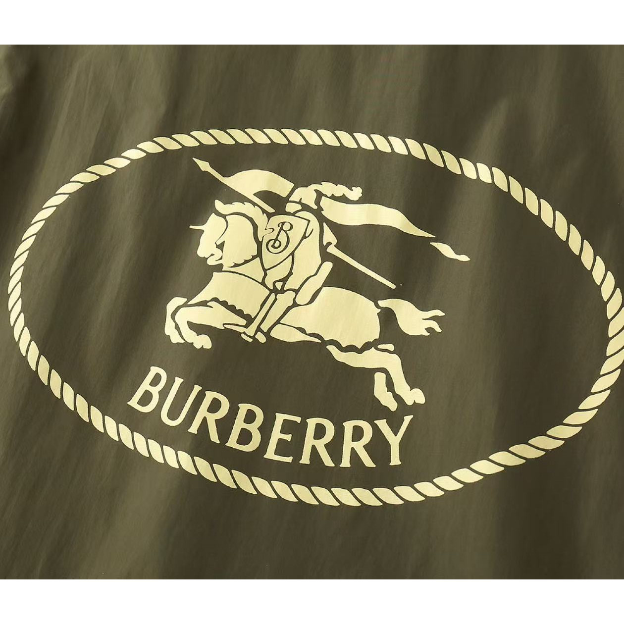 <p>BURBERRY 男士夹克外套(綠)<br />
&nbsp;</p>