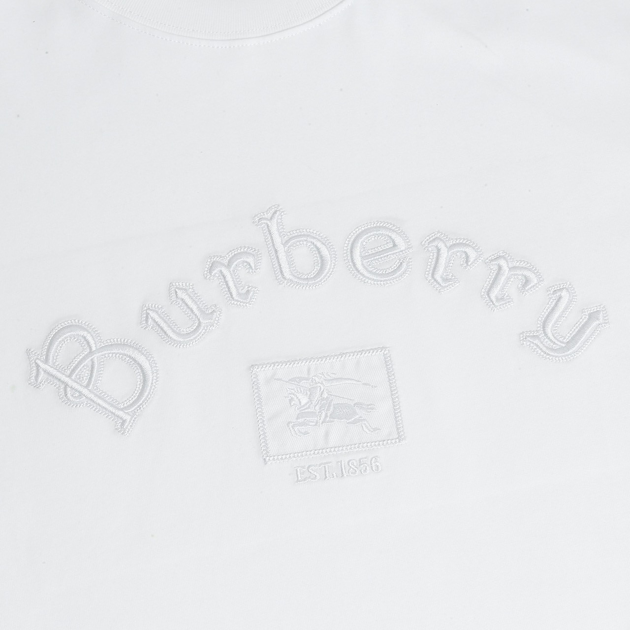 <p>Burberry &nbsp;logo绣花短袖T恤(白)</p>