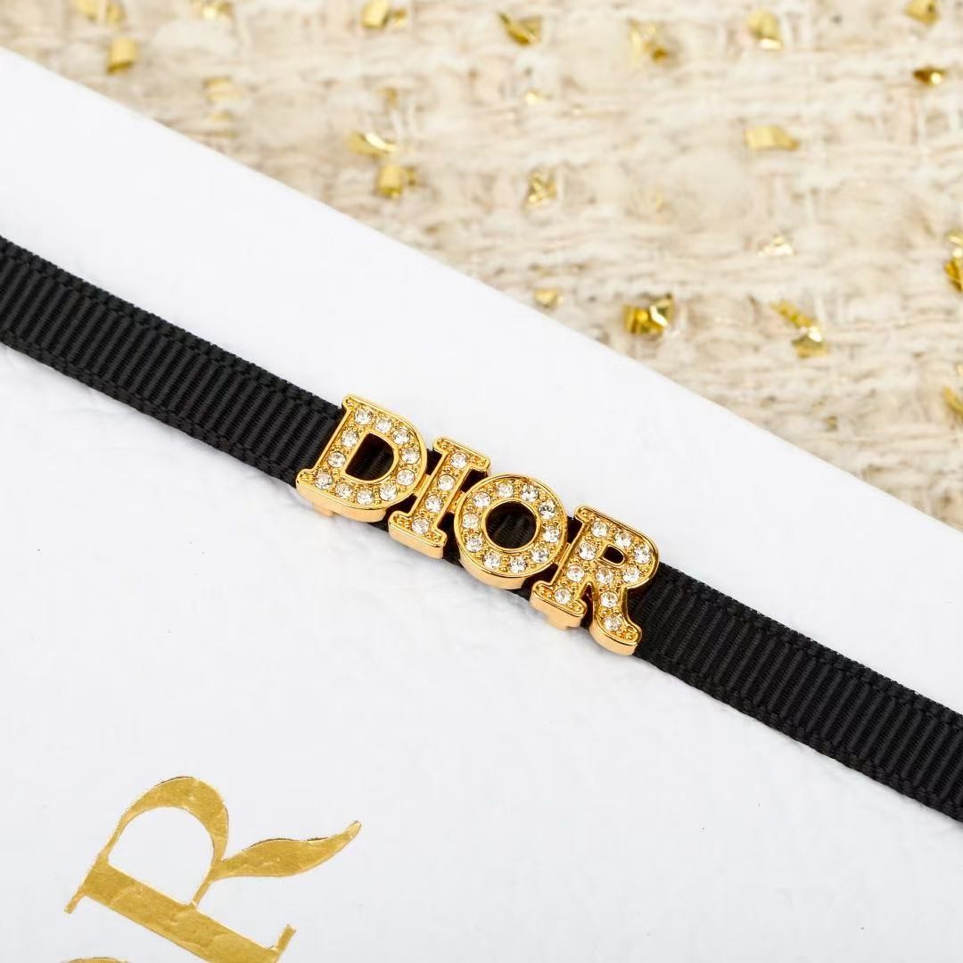 <p>DIOR 字母织带choker项链</p>
