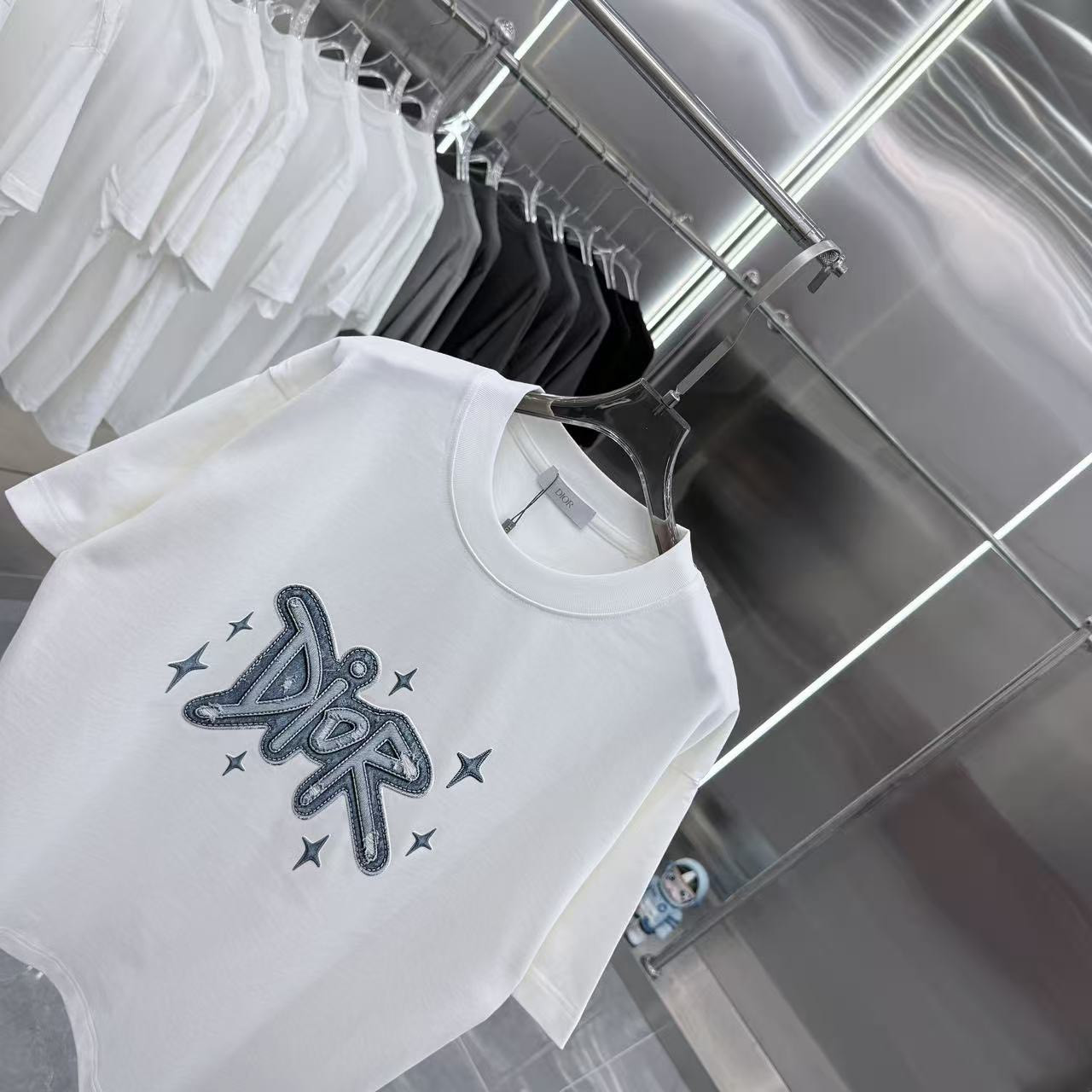 <p>DIOR 圓領T恤</p>