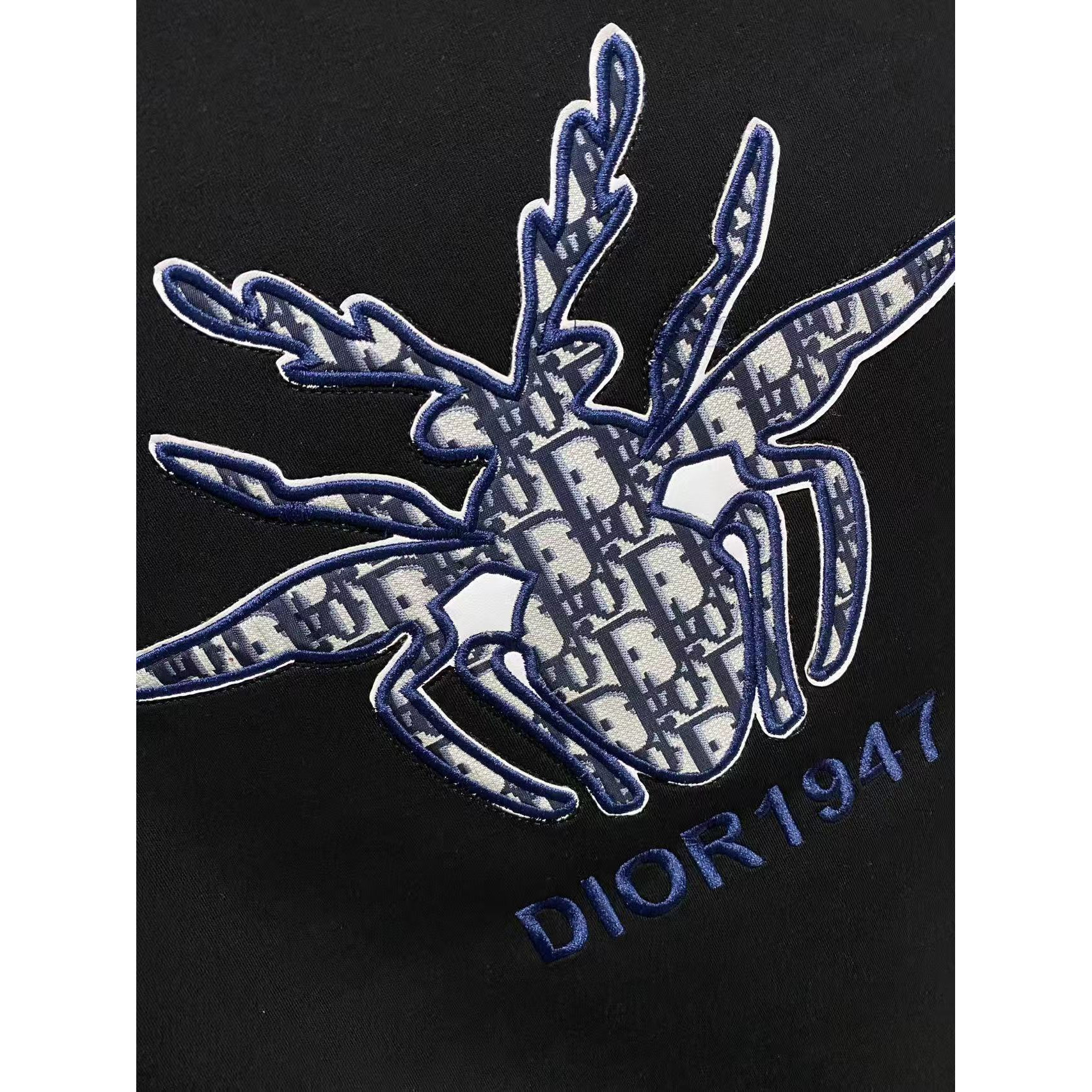 <p>DIOR 太空棉卫衣(黑)</p>