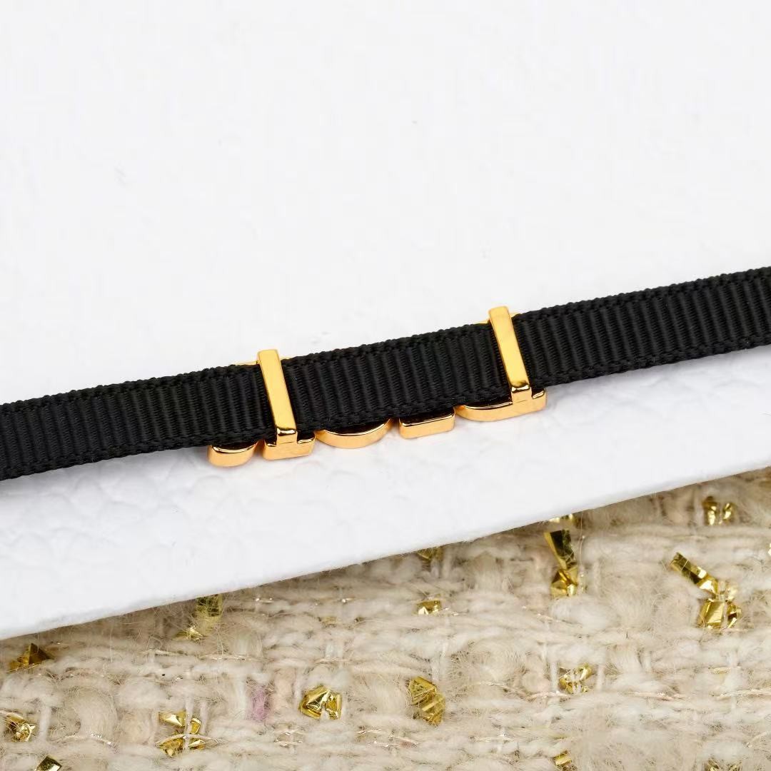 <p>DIOR 字母织带choker项链</p>