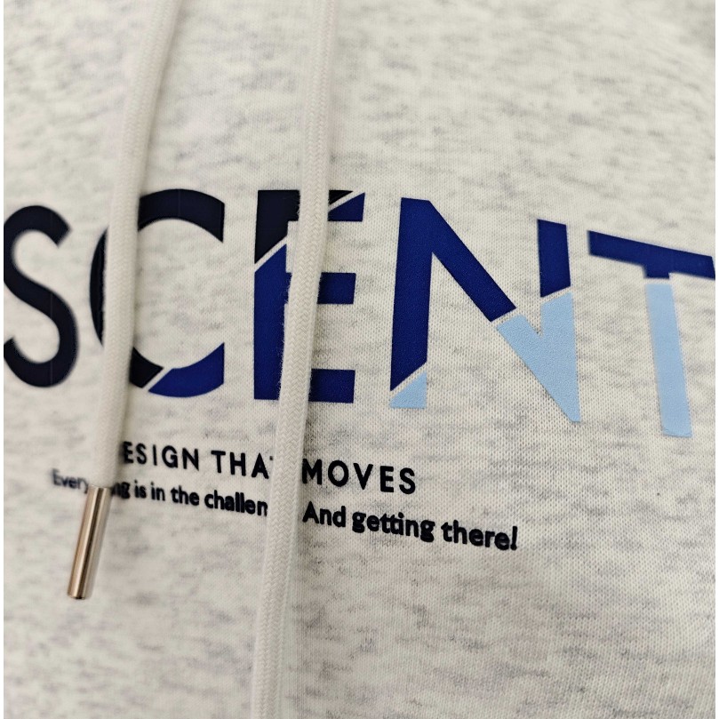 <p>DESCENTE 連帽長袖T恤(灰)</p>