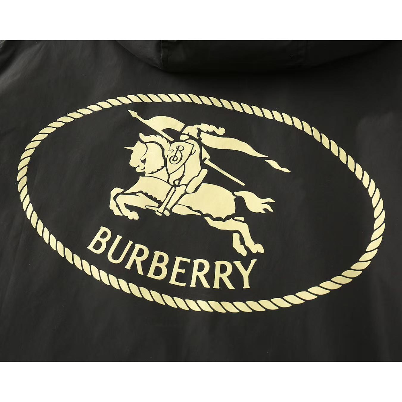 <p>BURBERRY&nbsp;男士夹克外套(黑)</p>