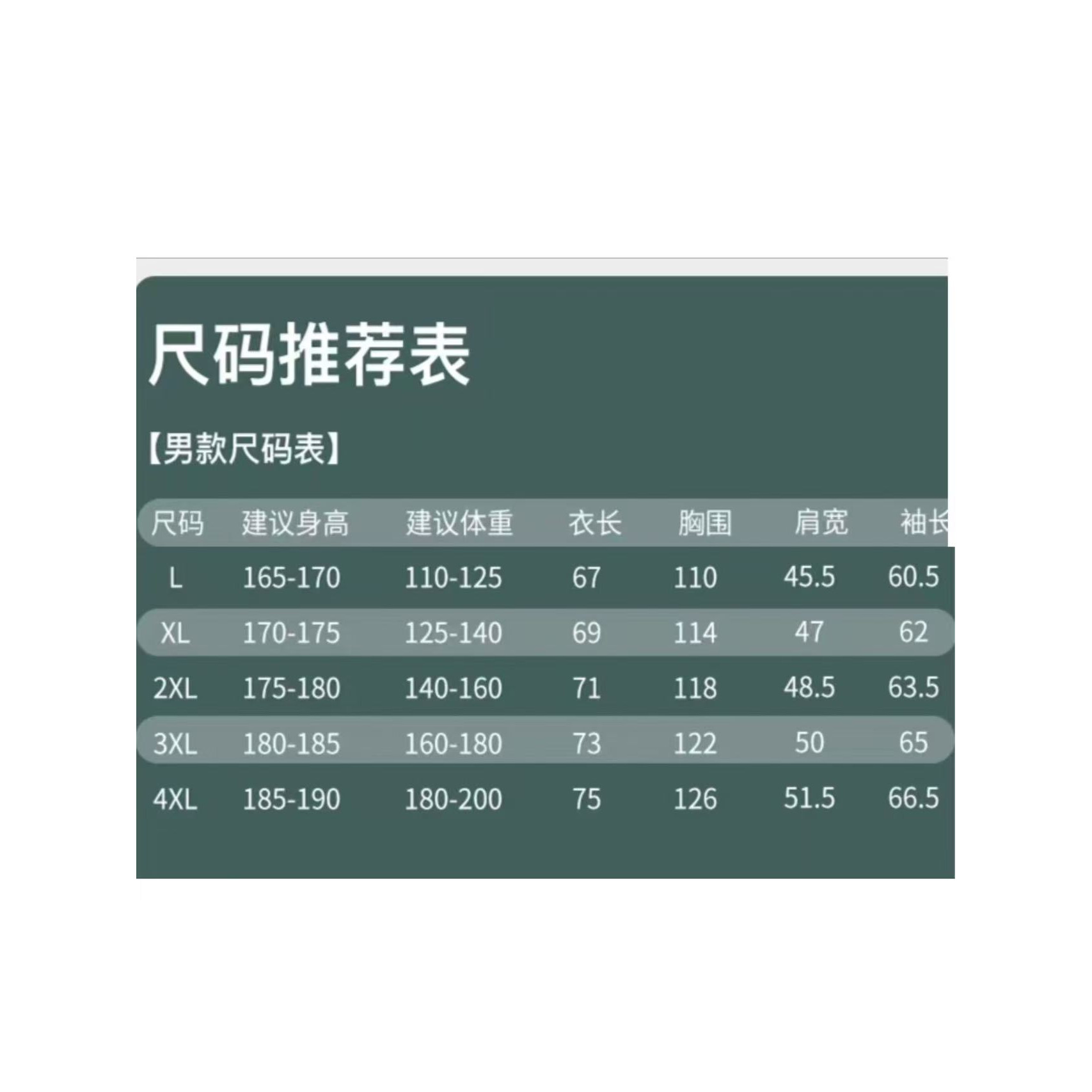 <p>ARC`TERYX 户外机能羊羔毛棉服外套(灰白)</p>