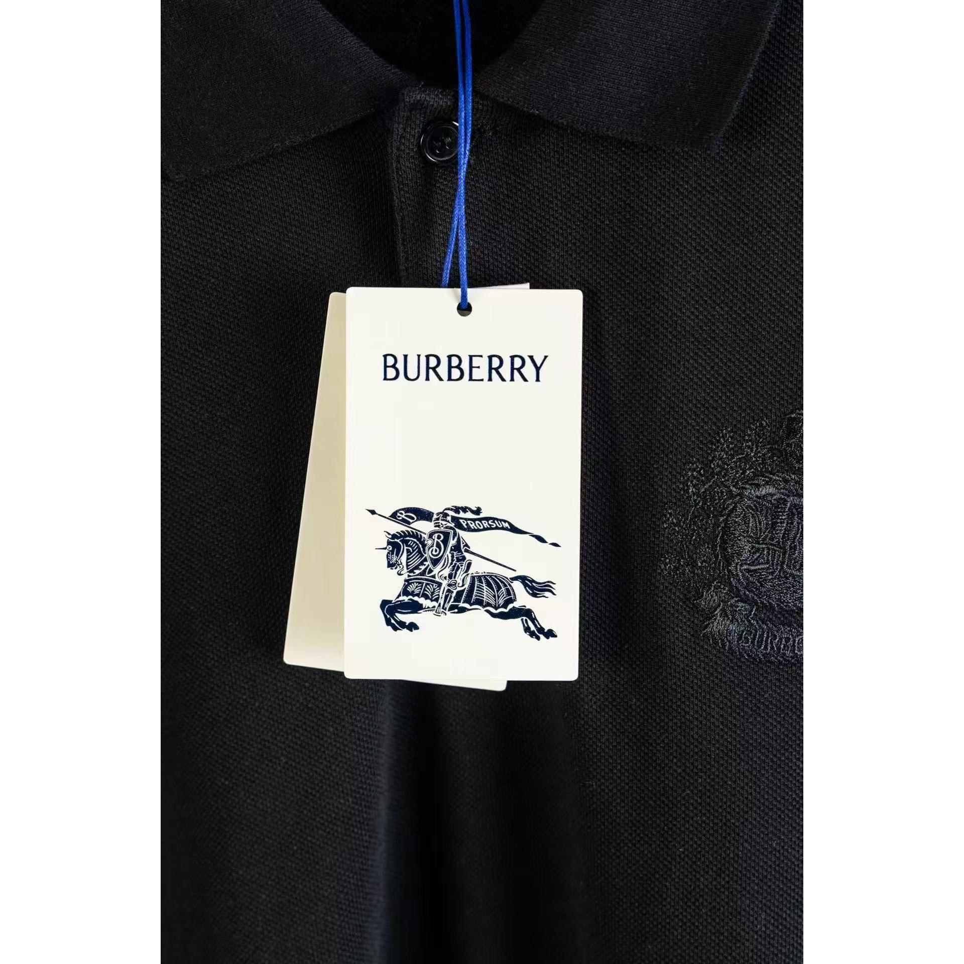 <p>BURBERRY 胸口战马微标刺绣衫(黑B005)</p>