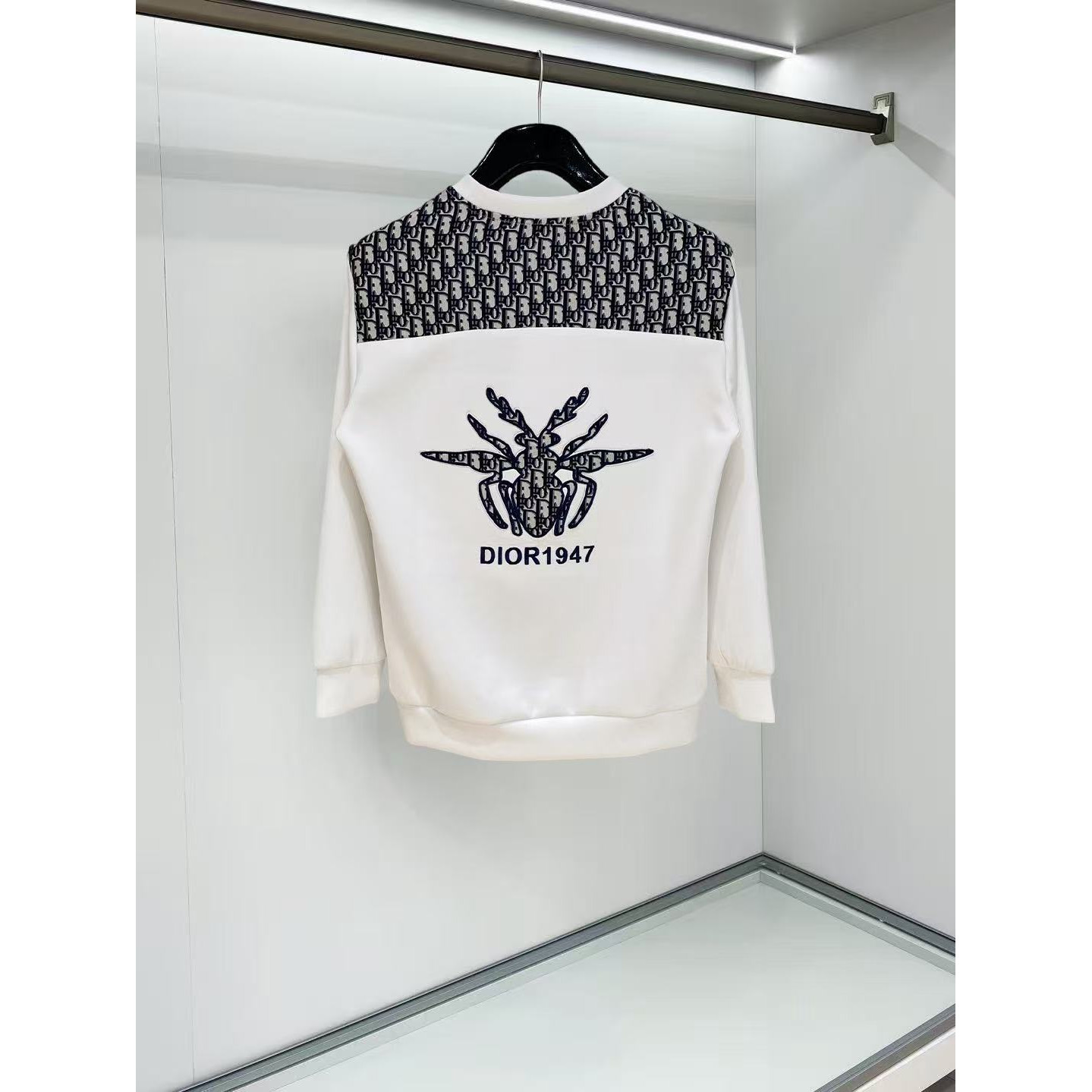 <p>DIOR 太空棉卫衣(白)</p>