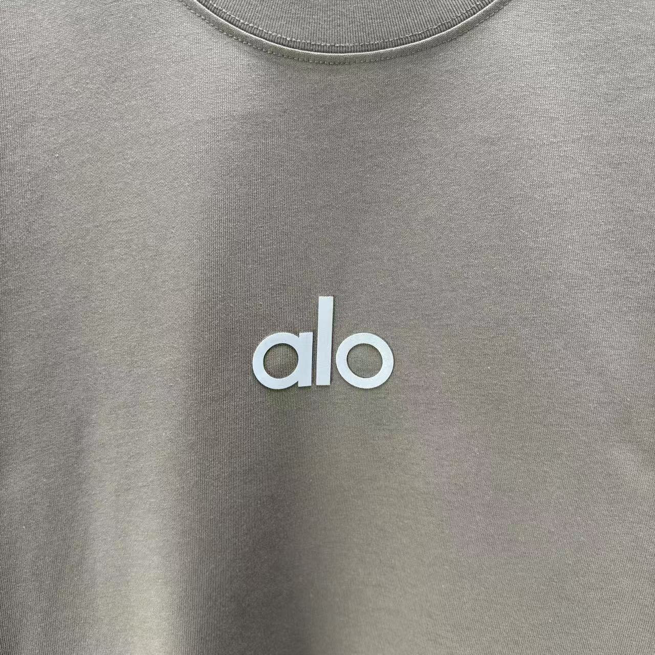 <p>ALO 短袖T恤 厚板 (棕)</p>